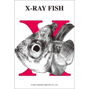 字母系列 金魚(迷你片)