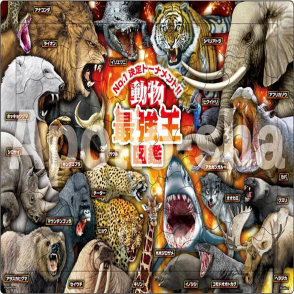 最強動物王(大拼片)