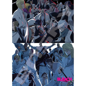 護廷十三隊 VS 星十字騎士團 BLEACH 死神 千年血戰篇 