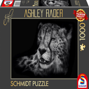 獵豹 優雅的象徵 Ashley Rader