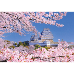 兵庫 層層櫻花下的姬路城(300 片)