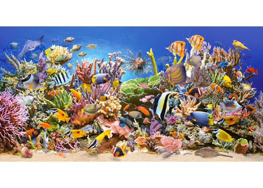 海底世界