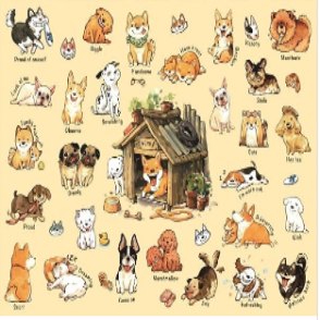 afu 狗狗的100種生活